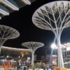 The Importance of Solar Trees - Steel Tube Services
